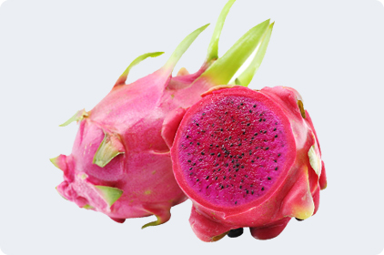 紅龍妖姬火龍果