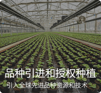 首頁(yè)業(yè)務(wù)體系左上1